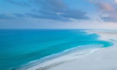 在虎年选择属狗人作为结婚对象，会使你的婚姻更加幸福美满！