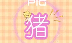 属于猪的人约会时需要注意的错误和注意事项,让您轻松避免社交尴尬!