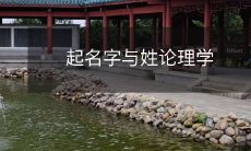 探讨人类命名习惯与姓氏发展的逻辑学视角