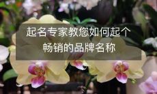 专业起名专家分享如何创造出一个成功的品牌名称，助您走向畅销之路