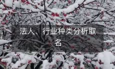经过法人和行业种类的综合分析之后如何精准取名？