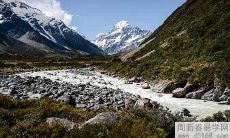 不同时间出现心慌的表现和预兆，你需要知道什么？