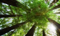 2023年1月12日的每日五行穿衣指南:如何选择颜色搭配?