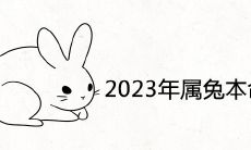 深入探究2023年属兔人的本命年运势和运程:全面详解!