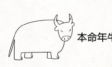 在本命年牛的时候,有哪些颜色是应该避免的禁忌色呢?同时,你又可以选择哪些颜色作为幸运招财色呢?