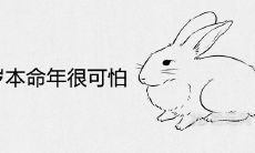为什么属兔36岁的本命年会让人感到惶恐? 2023年的运势和运程又将如何呈现?
