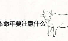 属牛的24岁本命年年度注意事项:生肖牛在本命年应该注意什么?