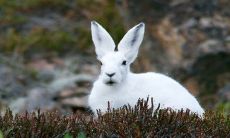 2023年出生宝宝的未来：从幸运儿到顺遂人生