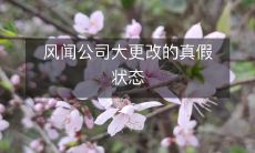 经过排查，揭露风闻公司大更改的真相：对于公司文化、战略、组织架构等所有方面都进行了全面升级，没有丝毫虚假