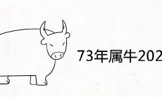 以牛年出生、2021年进入48岁本命年的人的运势如何?——一份关于73年属牛人2021年本命年运势的解读