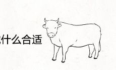 属牛人在本命年戴什么样的饰品最适合?