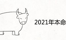 2021年本命年女牛应该搭配哪些宝物来辟邪和转运呢?