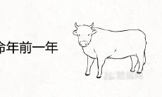 为什么属牛的人在本命年前一年经历的不顺事情特别多?