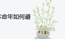 如何在属牛72岁老人本命年中运用化太岁法避免灾难,转运好运?