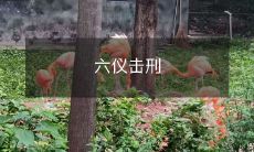 用六种刑罚行使六仪礼仪的六仪击刑法