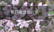 奇门命盘与六亲关系的详细解析:通过命理学探寻人际关系中影响力的变化和应对策略