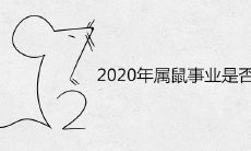 在2020年,如果你是属鼠人,你考虑换工作是不是个好主意?本命年是否适合调职以改善运势?