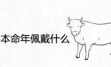在1997年属牛本命年,应该选什么样的佩饰来增强自己的运势呢?