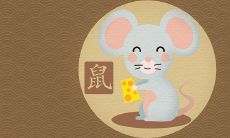 2020年属鼠的运势如何?从命运、财务到运气的全方位解析