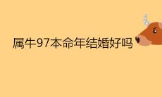 牛年出生者是否适合在本命年结婚?擇日择良辰,探讨属牛人士结婚选日的讲究和考虑因素