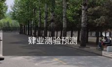 未来教育趋势:基于肄业测验预测的新兴教育模式探究