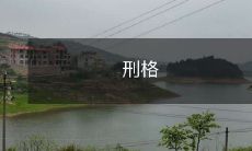 刑格: 惩罚和监禁的结合形式，用于强制执行司法判决的措施