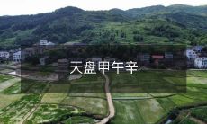 天盘甲午辛——一场历史性的战役统一了中国大陆与台湾地区