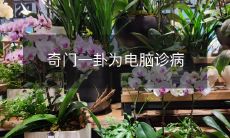 将古老的奇门遁甲应用于现代医学,利用高科技的电脑技术将其转化为有力的诊断工具