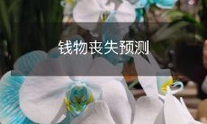 如何通过风险管理和财务规划来预测并避免钱物丧失的风险?