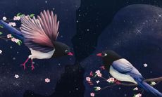 祥瑞不断!手相破解:哪些手相拥有福报?