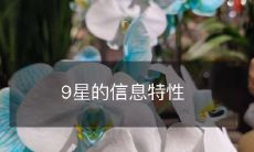 探究9颗恒星的信息特性：从大小、质量、轨道、化学元素到生命周期全方位解读