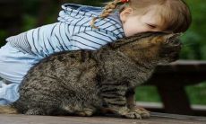 2023年最受欢迎的新生儿名字——水兔女宝宝如何起名?