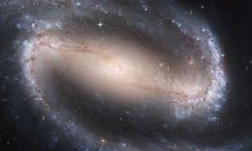 在家中摆放宝塔的讲究及其对风水的作用有哪些?