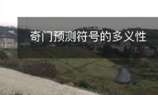 揭示奇门预测符号的多重含义以及其应用的潜在挑战性