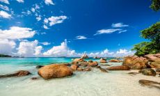 深入解析拥有广泛追求者的手相特征,持有此类手相者不必担心没人追求