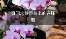 使用奇门术解决职业生涯中的疑难抉择:一个关于选择的重要难题