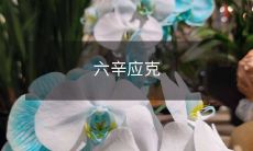 如何通过六种调味品避免过量食用，保持健康生活