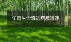 年轻生命常常被疾病所困追:探究年轻人如何应对不同的健康问题