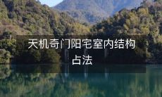 揭秘：天机奇门阳宅室内结构的占卜和分析技巧