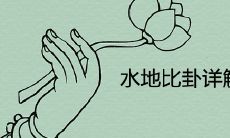 深入剖析水地比卦对于事业、财运和感情的全面解读
