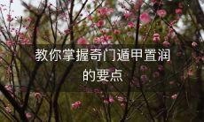 通过掌握重要技巧和方法，学会使用奇门遁甲置润技术的经验之谈