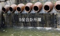 的地支與五行屬性一覽表:九宮格星象中各卦所對應的地支和五行屬性汇总