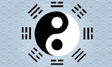 在解卦中,应更加注重哪一方面——主卦还是变卦?