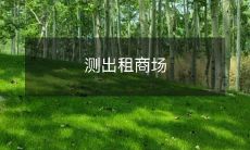 的市场价值的可行性分析及实施策略研究