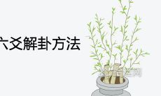 学会最简单直接的六爻解卦方法,掌握基本口诀,轻松卜算未来