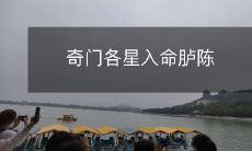 详细解析奇门各星入命胪陈的风水奥秘