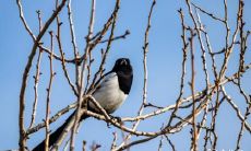 探讨风水学中数字象征意义:深度剖析数字3在风水学中的作用及探究数字4和7为何十分不利于风水布局