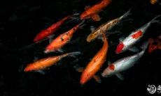 打完胎后不宜拜访他人,有哪些关于打完胎的迷信和讲究?