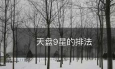 如何排列九颗天盘星体以预测人类命运的方法:探秘九星排法