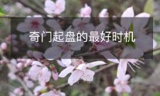 什么时候是进行奇门遁甲起盘的最佳时机?